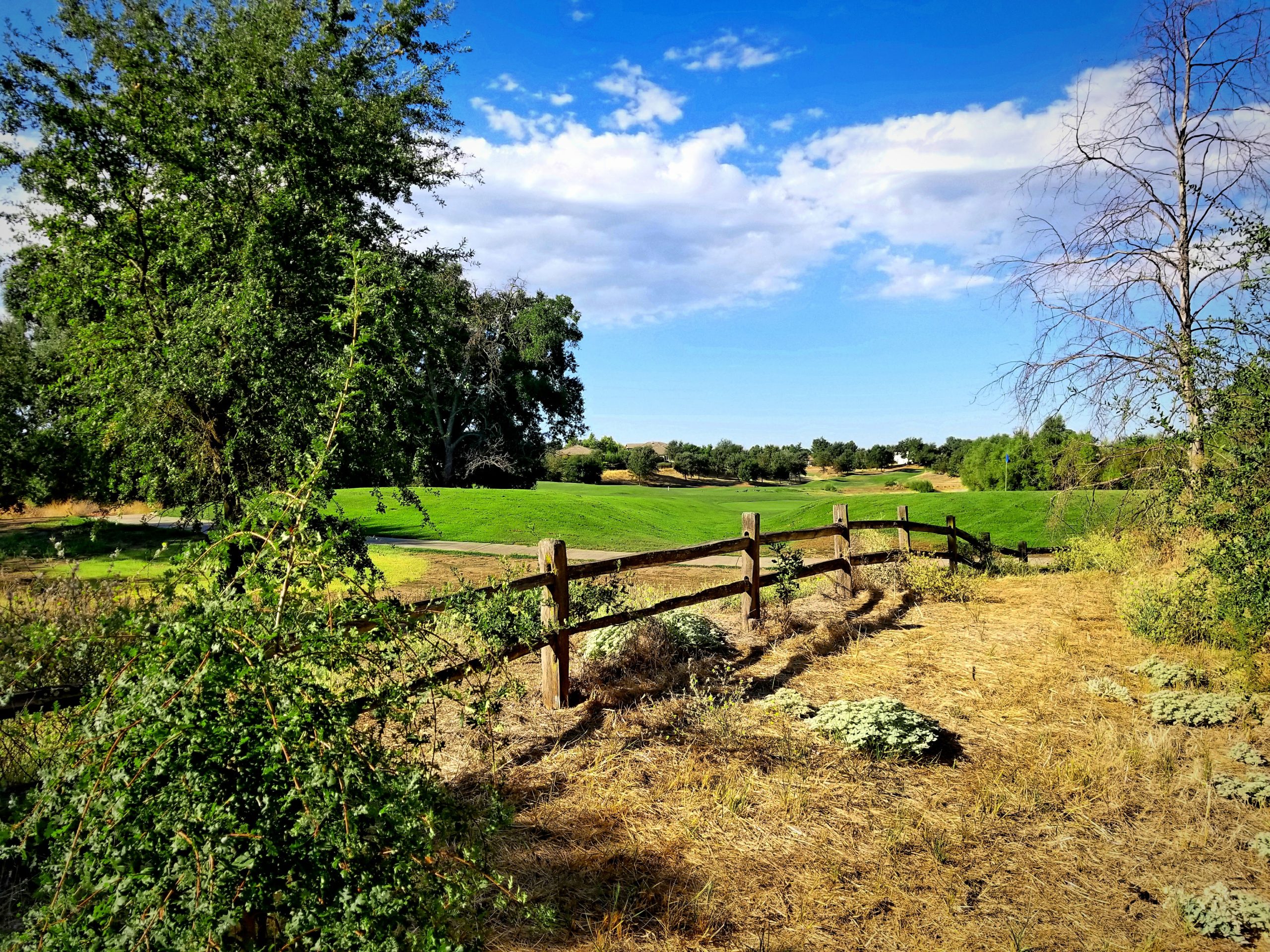 Image of golf ball on tee on grass.