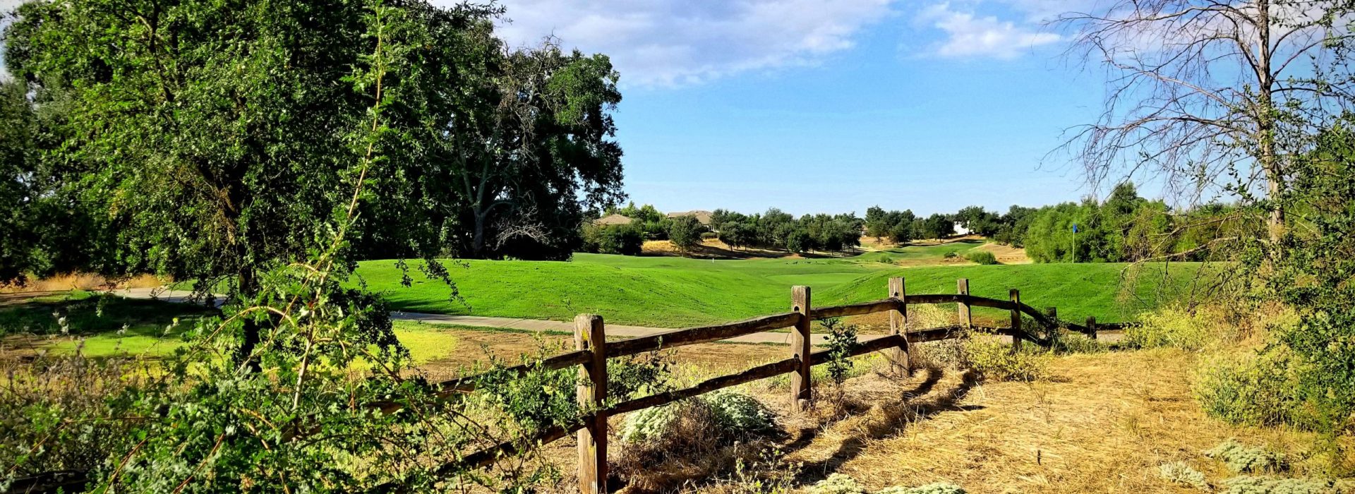 golf course with fence and tree